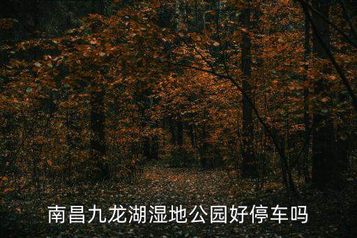 南昌九龍湖濕地公園好停車嗎