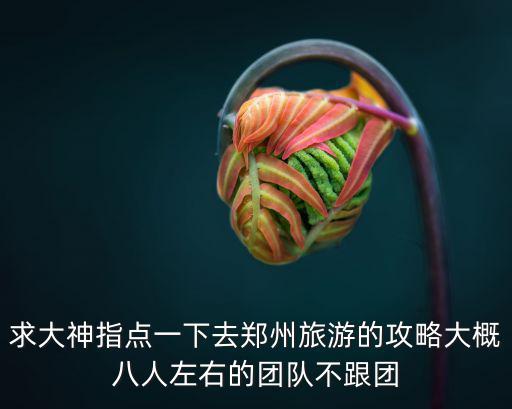 求大神指點一下去鄭州旅游的攻略大概八人左右的團隊不跟團