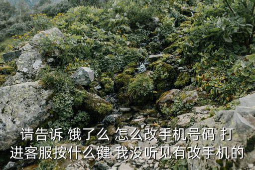 請告訴 餓了么 怎么改手機號碼 打進客服按什么鍵 我沒聽見有改手機的