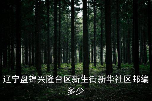 遼寧盤錦興隆臺區(qū)新生街新華社區(qū)郵編多少