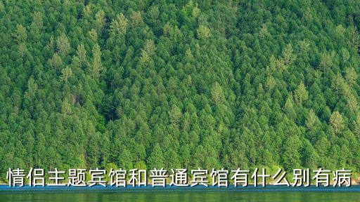 情侶主題賓館和普通賓館有什么別有病