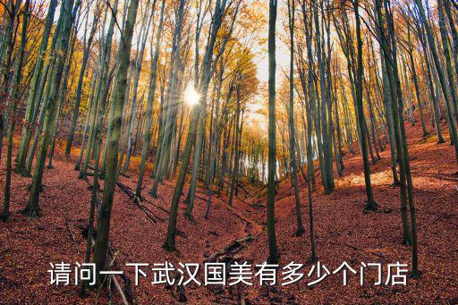 武漢國美，武漢國美001和維佳001哪個強
