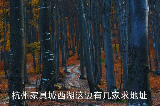 杭州家具，杭州定制家具品牌哪家好