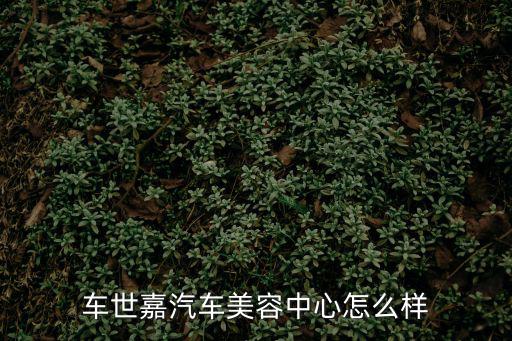 車世嘉汽車美容中心怎么樣