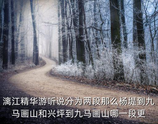 漓江精華游聽說分為兩段那么楊堤到九馬畫山和興坪到九馬畫山哪一段更