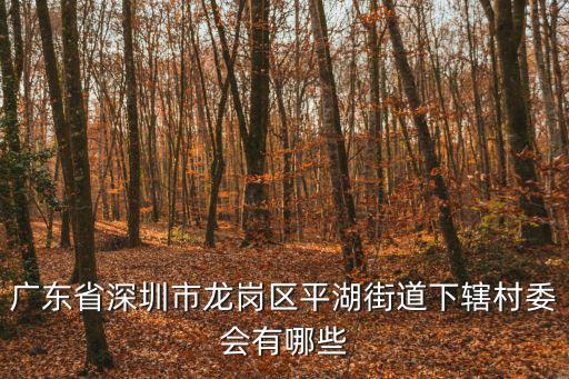廣東省深圳市龍崗區平湖街道下轄村委會有哪些