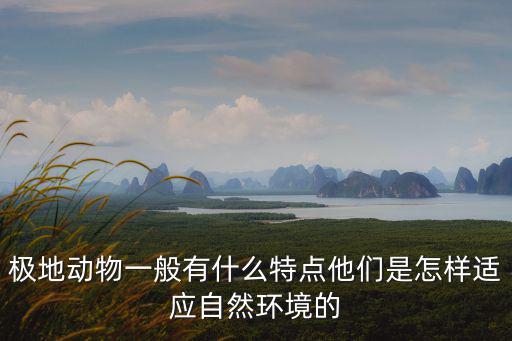 極地動物，極地動物一般有什么特點他們是怎樣適應自然環境的