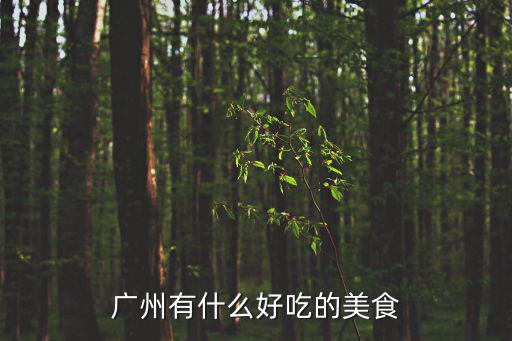 廣州有什么好吃的美食