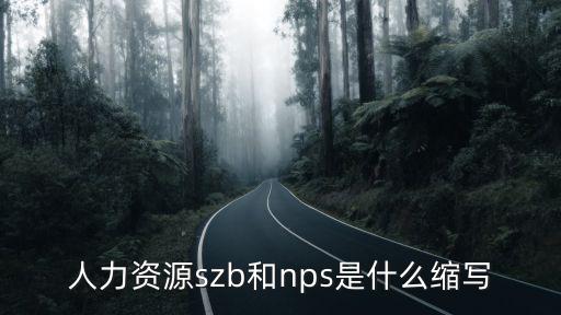 人力資源szb和nps是什么縮寫