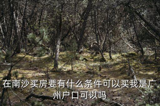 在南沙買房要有什么條件可以買我是廣州戶口可以嗎