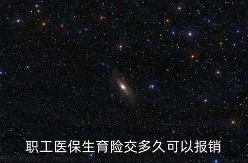 職工醫保生育險交多久可以報銷