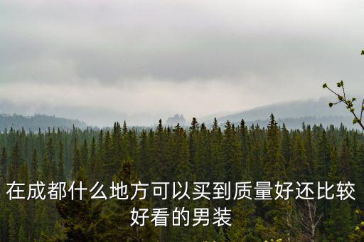 成都地一大道，大家覺(jué)得成都地一大道怎么樣有沒(méi)有投資的前景