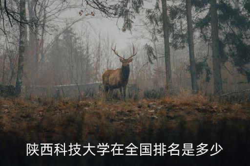 陜西科技大學，有了解陜西科技大學的嗎