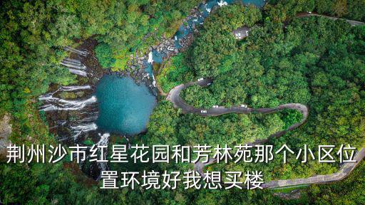 荊州沙市紅星花園和芳林苑那個小區位置環境好我想買樓