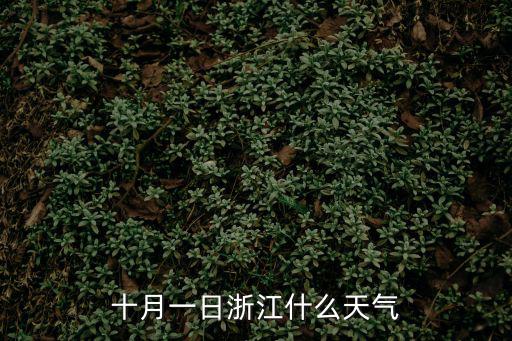 今日杭州天氣，十月一日浙江什么天氣