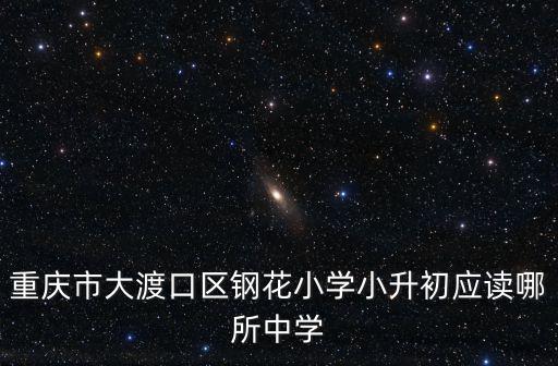 重慶市大渡口區(qū)鋼花小學(xué)小升初應(yīng)讀哪所中學(xué)