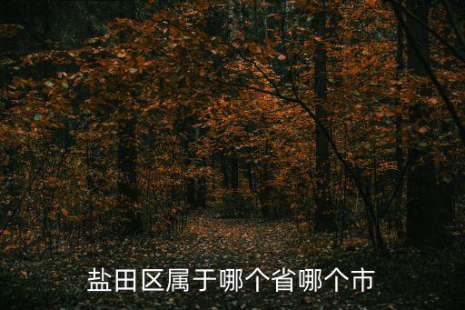 鹽田區屬于哪個省哪個市