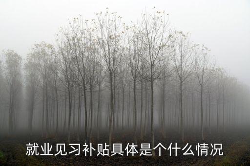 就業見習補貼具體是個什么情況
