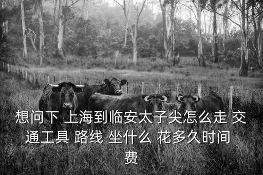 想問下 上海到臨安太子尖怎么走 交通工具 路線 坐什么 花多久時間 費