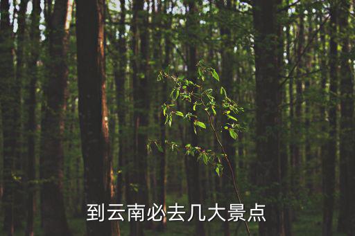 到云南必去幾大景點(diǎn)