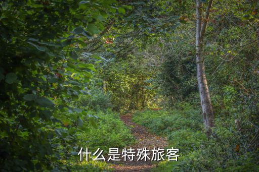 什么是特殊旅客
