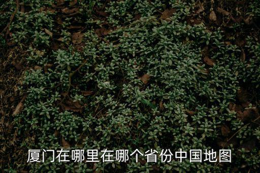 廈門在哪里在哪個省份中國地圖