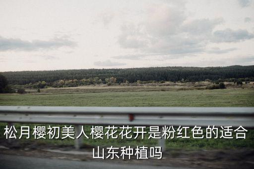 松月櫻初美人櫻花花開是粉紅色的適合山東種植嗎