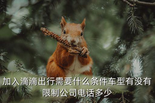 加入滴滴出行需要什么條件車型有沒有限制公司電話多少