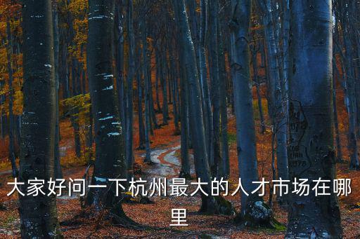 大家好問一下杭州最大的人才市場在哪里