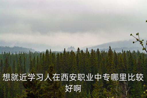 想就近學習人在西安職業中專哪里比較好啊