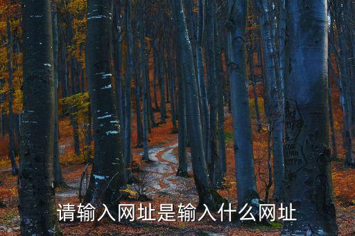 請(qǐng)輸入網(wǎng)址是輸入什么網(wǎng)址