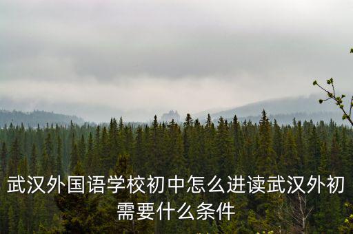 武漢外國語學(xué)校初中怎么進(jìn)讀武漢外初需要什么條件