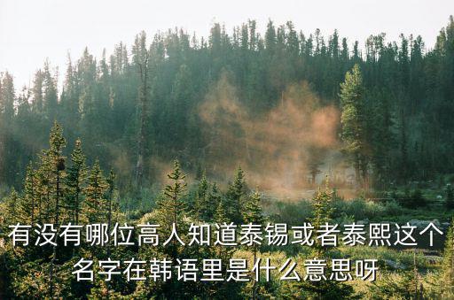 有沒(méi)有哪位高人知道泰錫或者泰熙這個(gè)名字在韓語(yǔ)里是什么意思呀