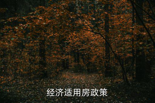 經濟適用房政策