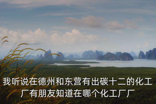 我聽說在德州和東營有出碳十二的化工廠有朋友知道在哪個化工廠廠