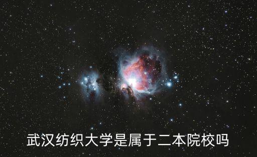 武漢紡織大學，武漢市紡織大學是大學嗎