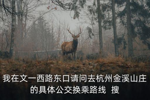 我在文一西路東口請問去杭州金溪山莊的具體公交換乘路線  搜