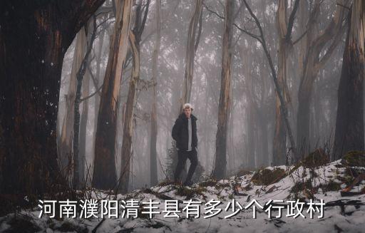 濮陽清豐縣，清豐屬于哪個市