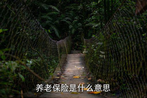 養老保險是什么意思