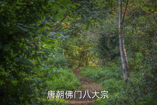 三論宗，唐朝佛門八大宗
