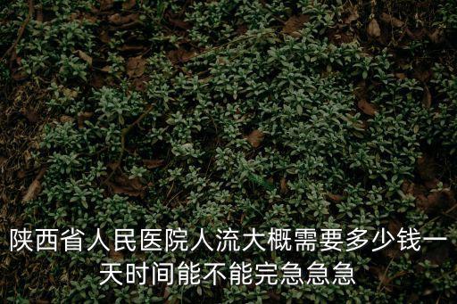 陜西省人民醫院人流大概需要多少錢一天時間能不能完急急急