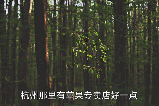 杭州那里有蘋果專賣店好一點(diǎn)