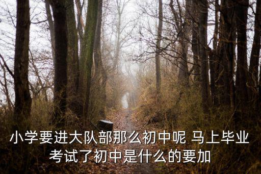 小學(xué)要進(jìn)大隊部那么初中呢 馬上畢業(yè)考試了初中是什么的要加
