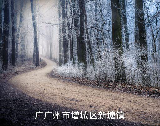 廣廣州市增城區(qū)新塘鎮(zhèn)