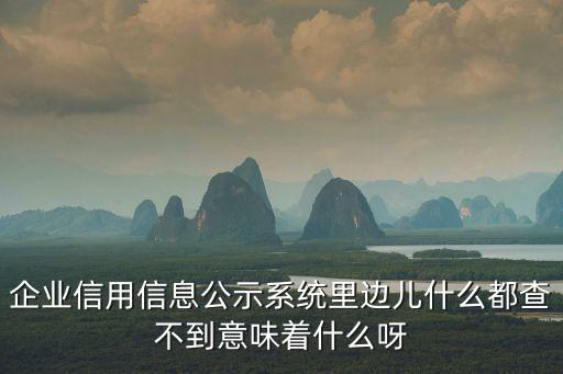 企業(yè)信用信息公示系統(tǒng)里邊兒什么都查不到意味著什么呀