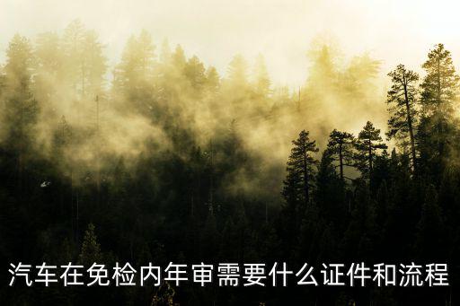 汽車在免檢內(nèi)年審需要什么證件和流程