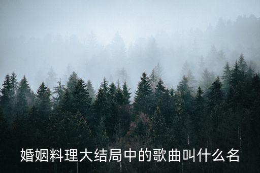 婚姻料理結局，婚姻料理大結局中的歌曲叫什么名