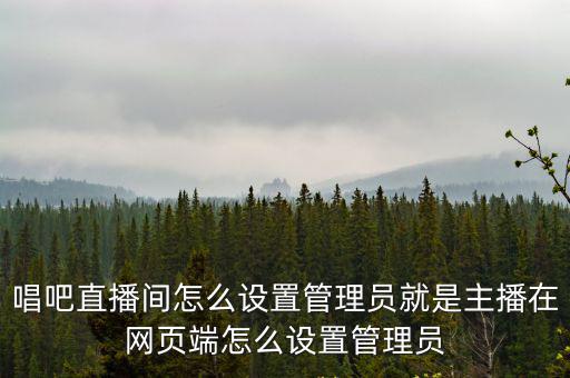 唱吧直播間怎么設置管理員就是主播在網頁端怎么設置管理員