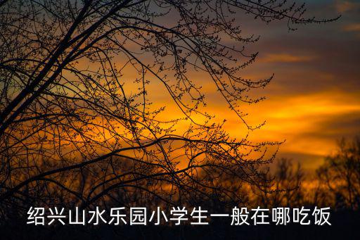 紹興山水樂園小學生一般在哪吃飯