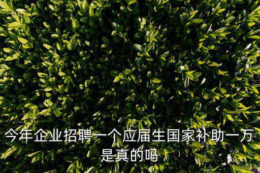 應屆生補貼，應屆畢業生就業企業會有補助么